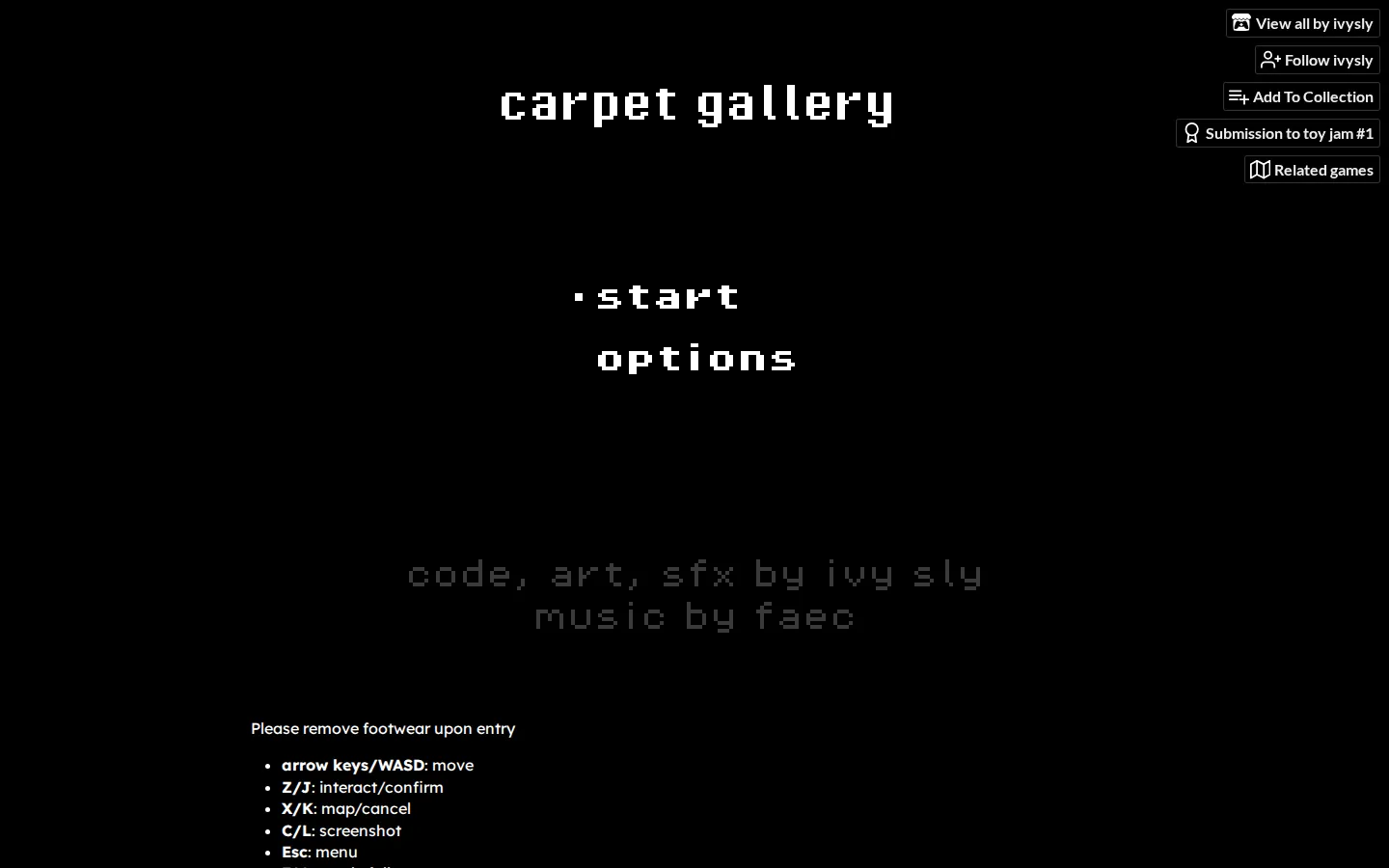 Carpet Gallery website homepage screenshot