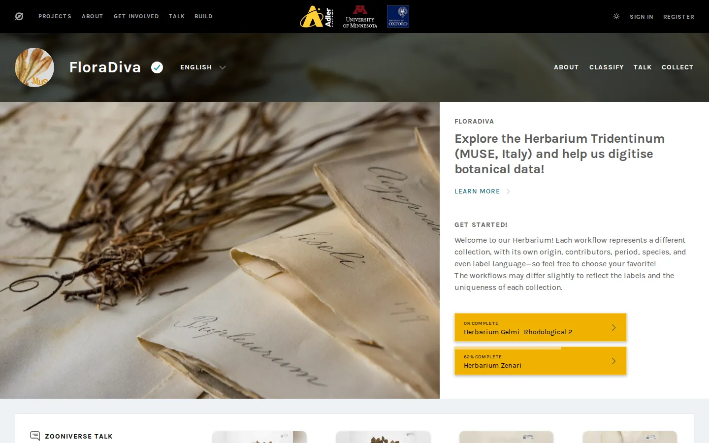 FloraDiva website homepage screenshot