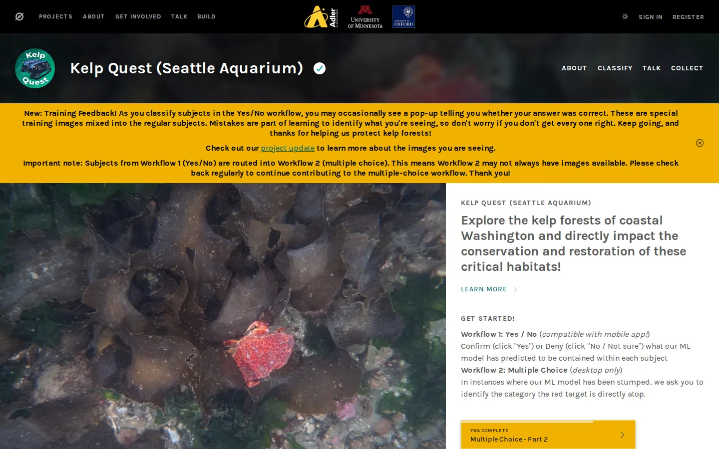Kelp Quest website homepage screenshot