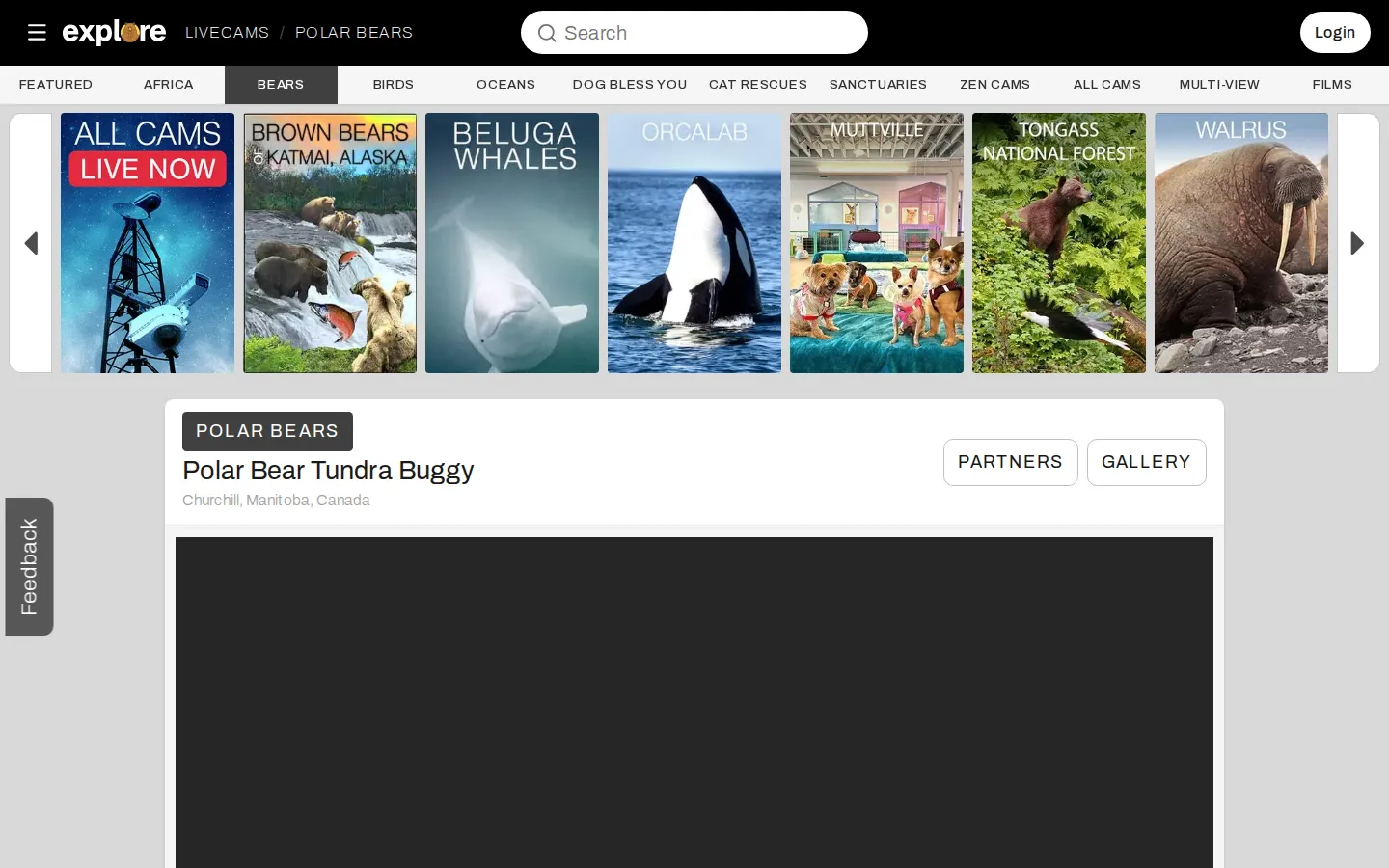 Explore.org Polar Bear Cam website homepage screenshot