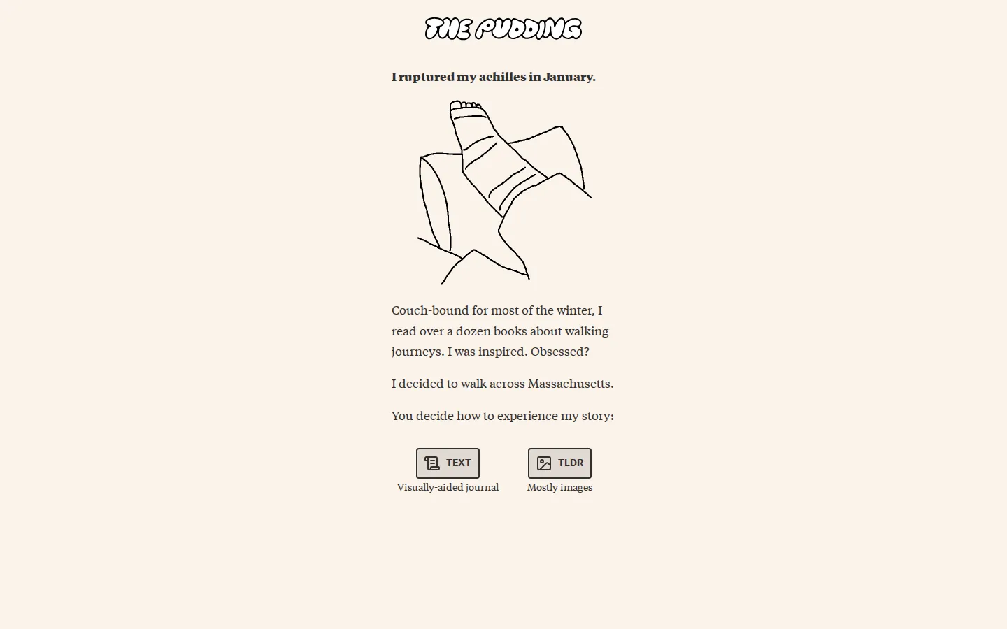 Walkachusetts website homepage screenshot