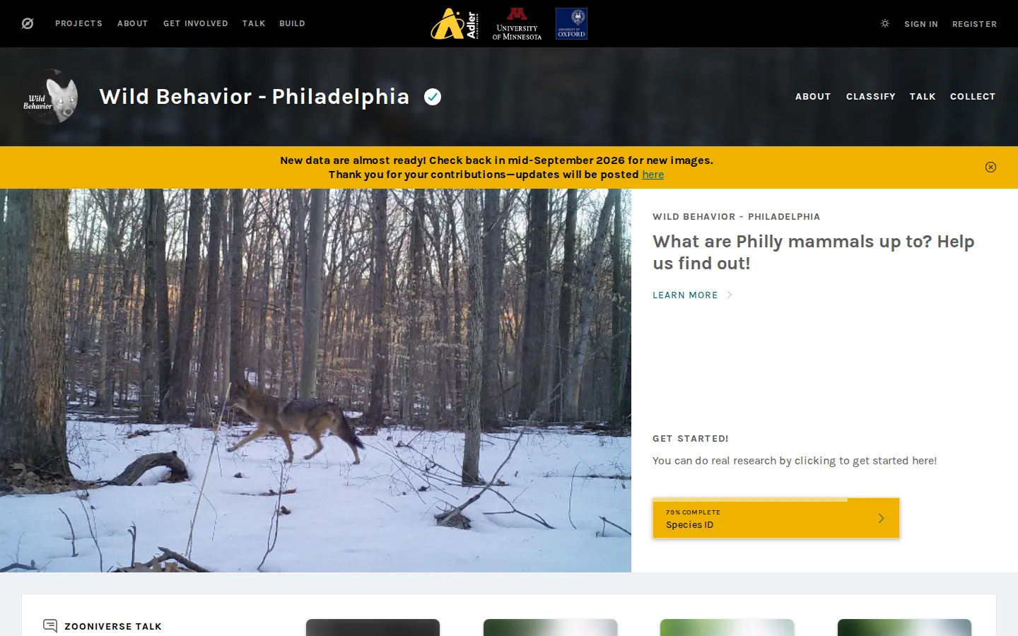 Wild Behavior - Philadelphia website homepage screenshot