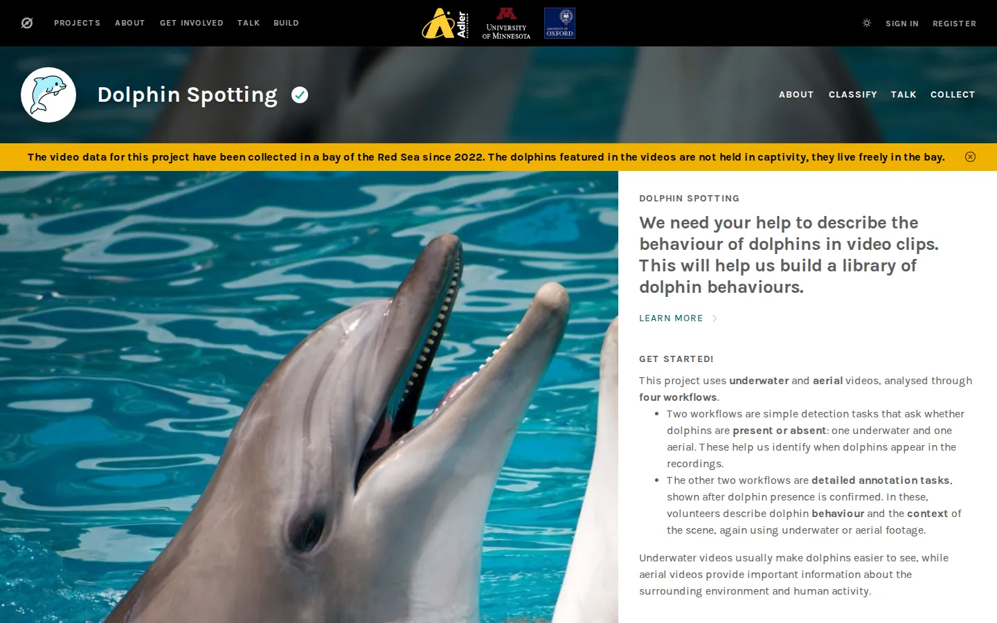 Dolphin Spotting website homepage screenshot