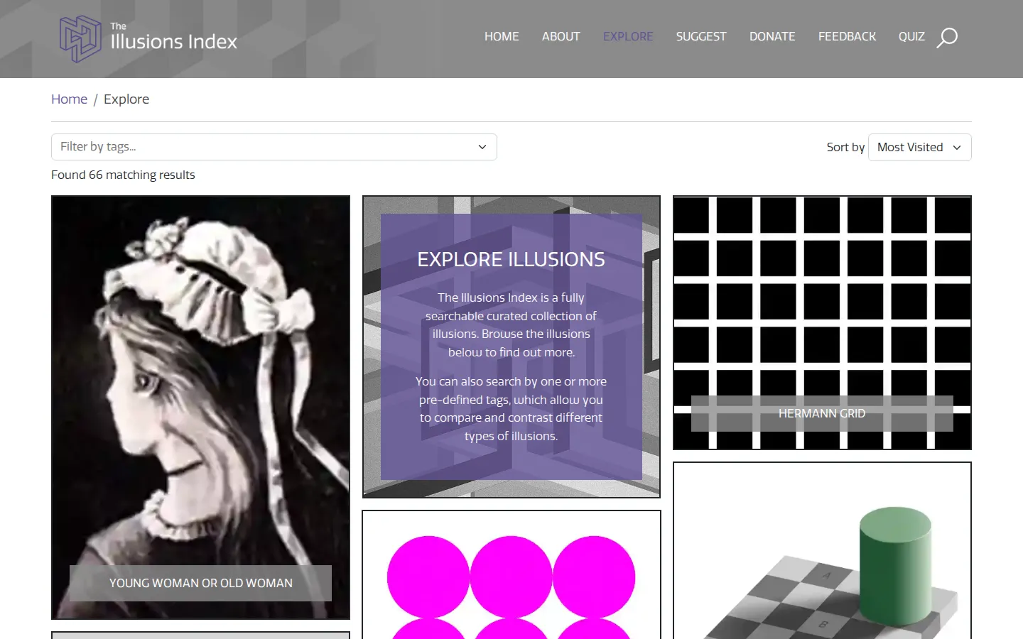 Illusions Index website homepage screenshot