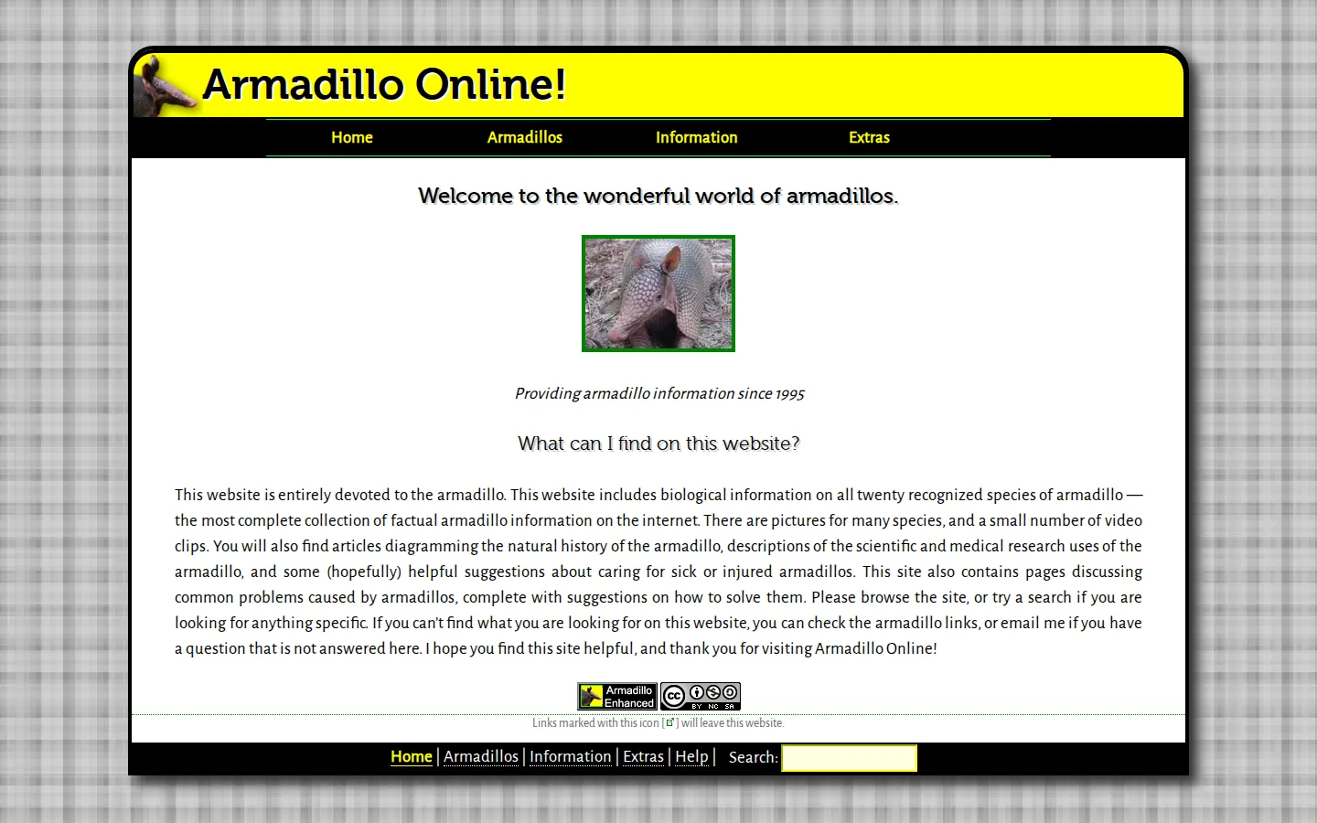 Armadillo online website homepage screenshot